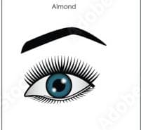 Photo example of almond eyes