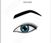 Photo example of monolid eyes